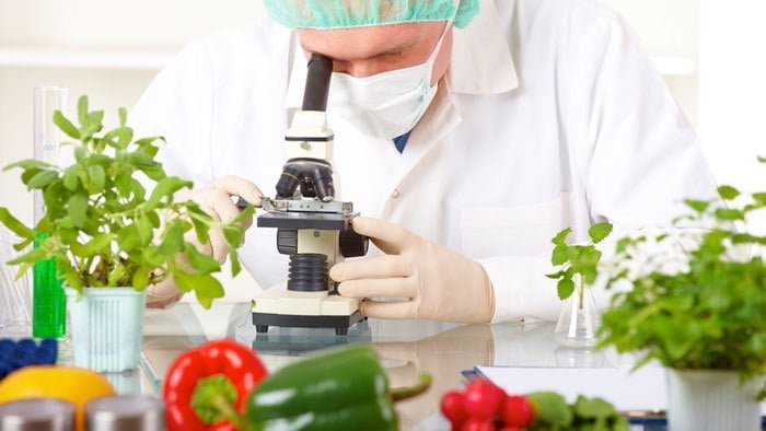 Nanotehnologia în industria alimentară: viitorul alimentelor